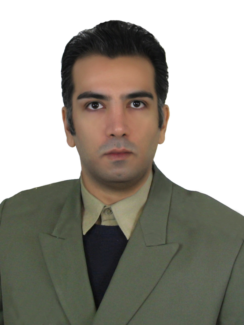 Dr. Majid Gholamhoseini