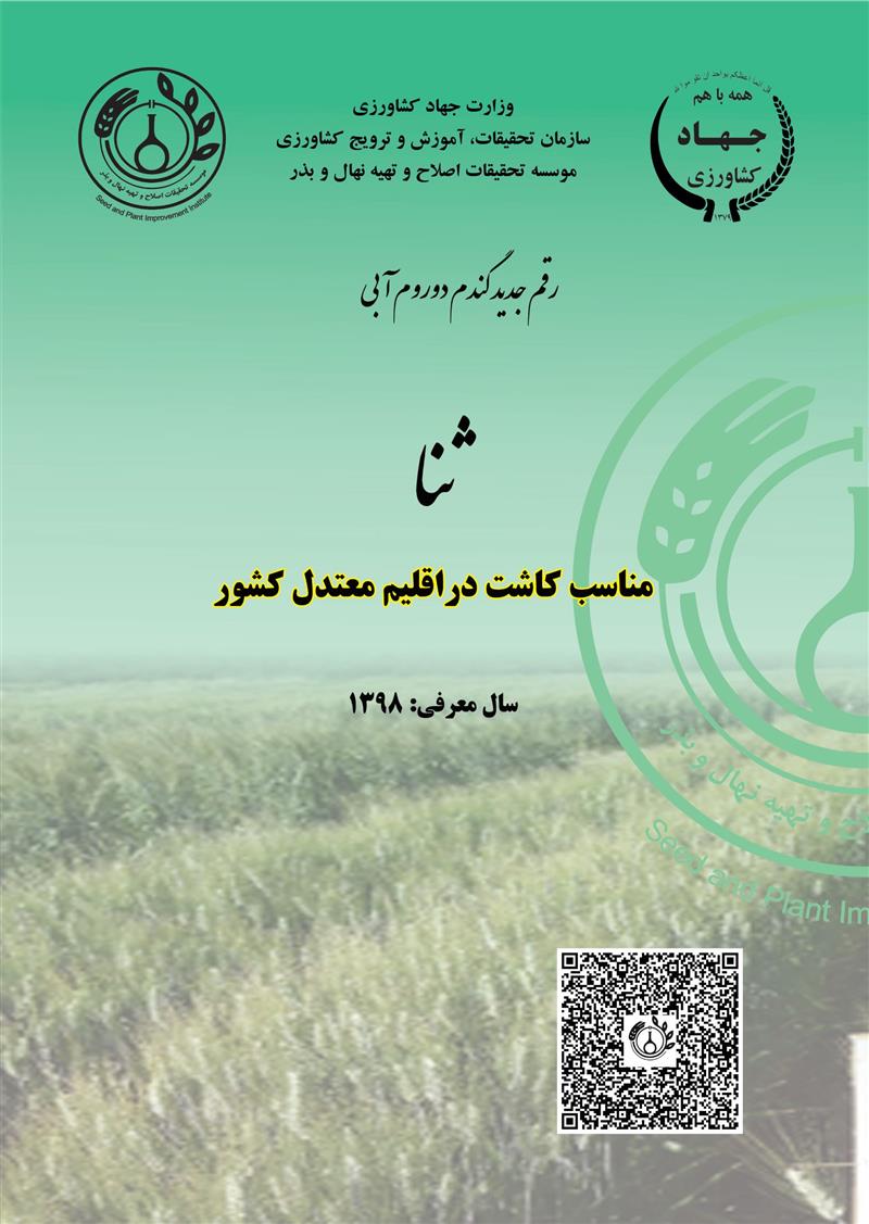 گندم دوروم آبی، رقم ثنا، سال 1398