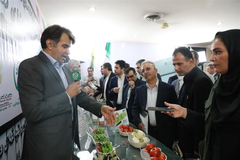 از پژوهش تا تولید؛ معرفی دستاوردهای بخش تحقیقات سبزی، صیفی و حبوبات آبی به رایزنان اقتصادی وزارت امور خارجه