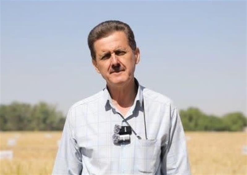 شناخت دقیق ۲۶ ویژگی ارقام جدید گندم؛ ضرورتی برای موفقیت برنامه‌های به‌نژادی مناطق معتدل