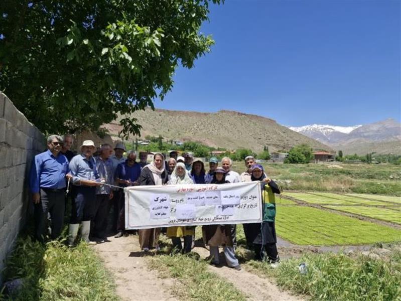گامی بلند در ارتقای بهره‌وری تولید؛ برگزاری سلسله كارگاه‌های تخصصی آموزشی-ترویجی برای شالیكاران مناطق الموت در استان قزوین