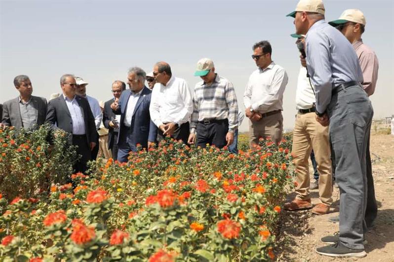 تكمیل زنجیره تولید بذر، لازمه ارتقای امنیت غذایی/ تاكید بر بازتاب ملی دستاوردهای تحقیقاتی غلات و دانه‌های روغنی