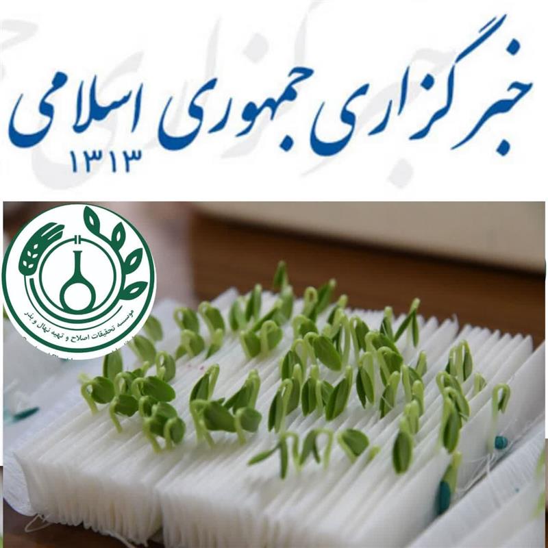 ۳۰ رقم جدید بذر برای تجاری‌سازی معرفی شد