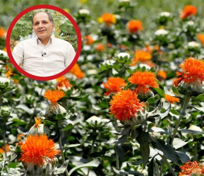 معرفی۲ رقم پرروغن و زودرس گلرنگ و یك رقم زودرس سویا در كشور