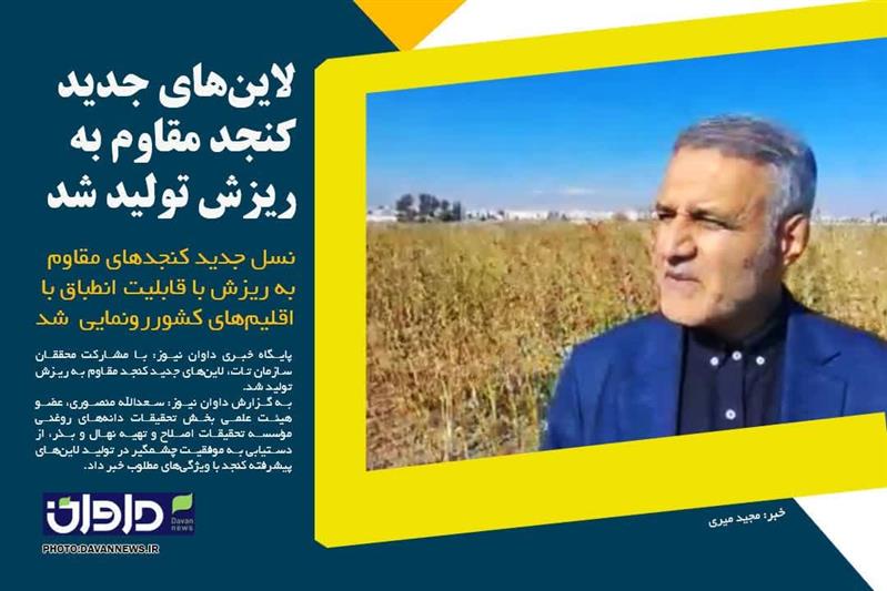 موفقیت محققان مؤسسه تحقیقات اصلاح و تهیه نهال و بذر در تولید لاین‌های مقاوم به ریزش كنجد با ویژگی‌های بهبود یافته
