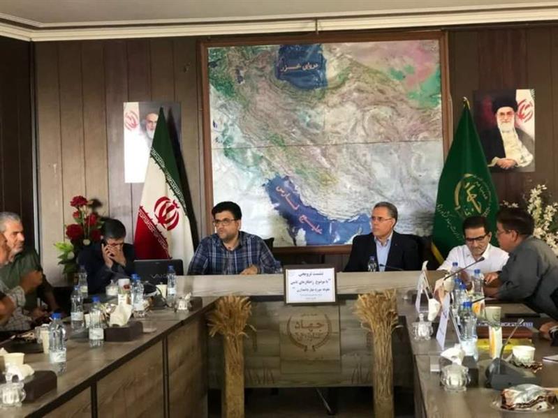 بررسی راهكارهای نوین تأمین علوفه استان  البرز با تأكید بر قصیل جو و سورگوم
