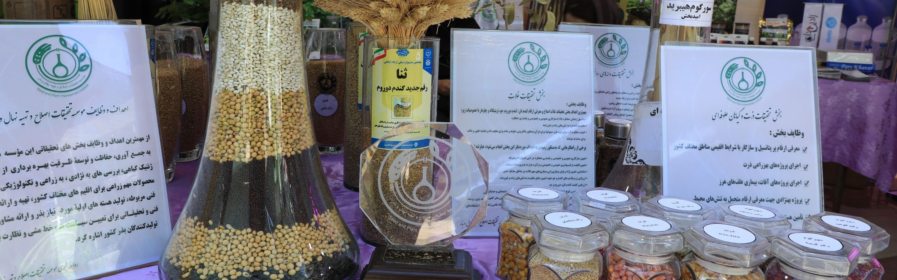 دستاوردها و فناوری های موسسه تحقیقات اصلاح و تهیه نهال و بذر