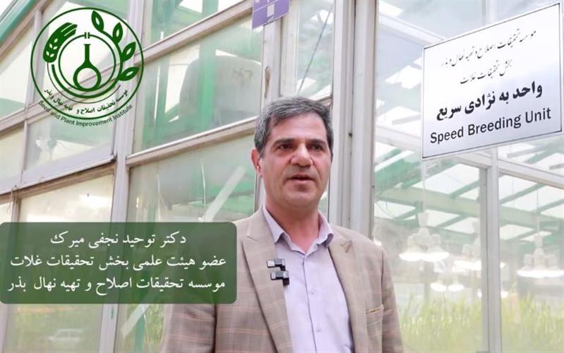 🎥 گفت وگو با توحید نجفی میرك، عضو هیئت‌علمی مؤسسه تحقیقات اصلاح و تهیه نهال و بذر