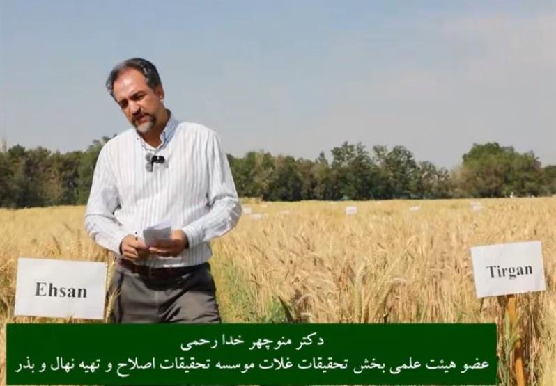🎥  راهبردهای به‌نژادی گندم در اقلیم شمال كشور در گفت‌وگو با دكتر منوچهر خدارحمی