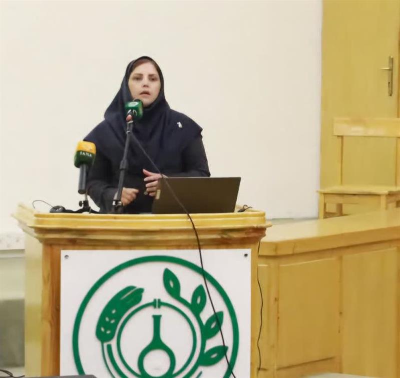 جهش ۲۰.۶ درصدی عملكرد گندم با مهندسی آرایش كاشت و آبیاری تیپ