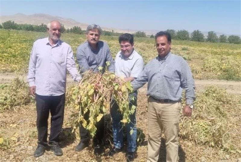 تداوم زنجیره انتقال دستاوردهای تحقیقاتی، پایش قراردادهای انتقال فناوری