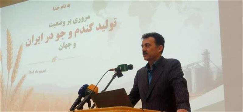 ضرورت تفكیك اراضی و بازنگری در الگوی مدیریت گندم آبی بر اساس دسترسی به آب/كیفیت مطلوب بیش از ۸۵ درصد گندم كشور