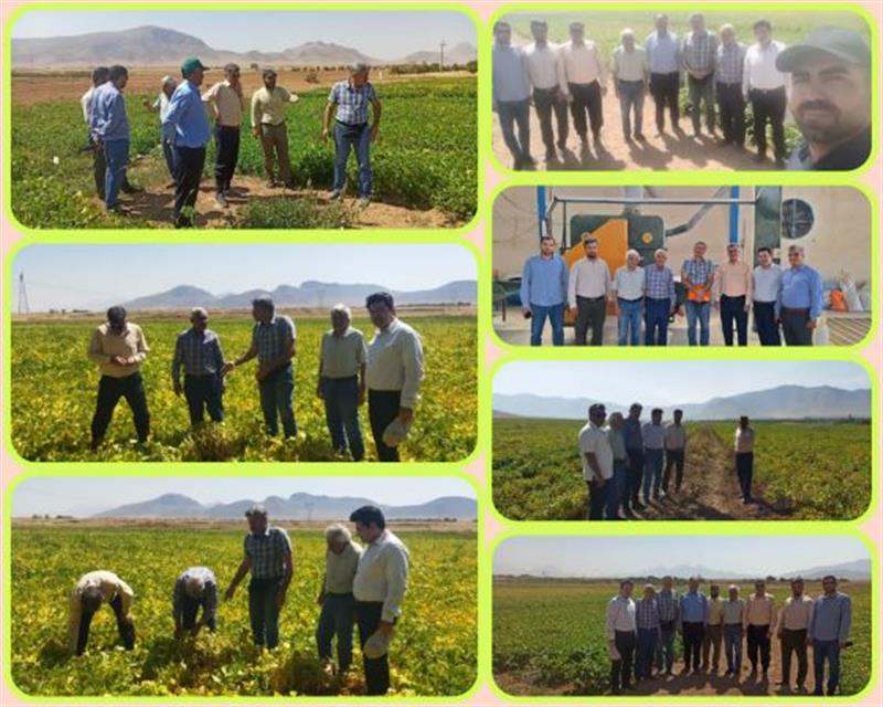 بررسی ظرفیت‌های تحقیقاتی و تولید بذر لوبیا در شهرستان خمین-استان مركزی