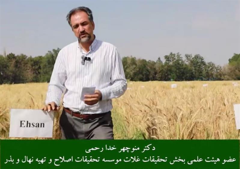 🎥 گفت وگو با منوچهر خدارحمی، عضو هیئت‌علمی مؤسسه تحقیقات اصلاح و تهیه نهال و بذر و مجری طرح گندم اقلیم شمال كشور