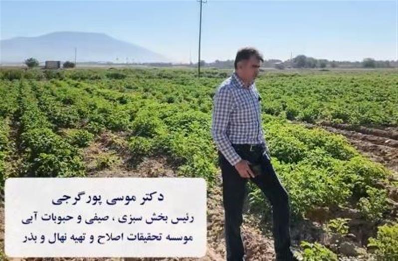 دوره آموزشی «اصول زراعت سیب زمینی» ویژه كارشناسان مؤسسه تحقیقات اصلاح و تهیه نهال و بذر